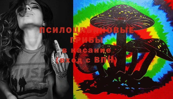 крисы Алзамай